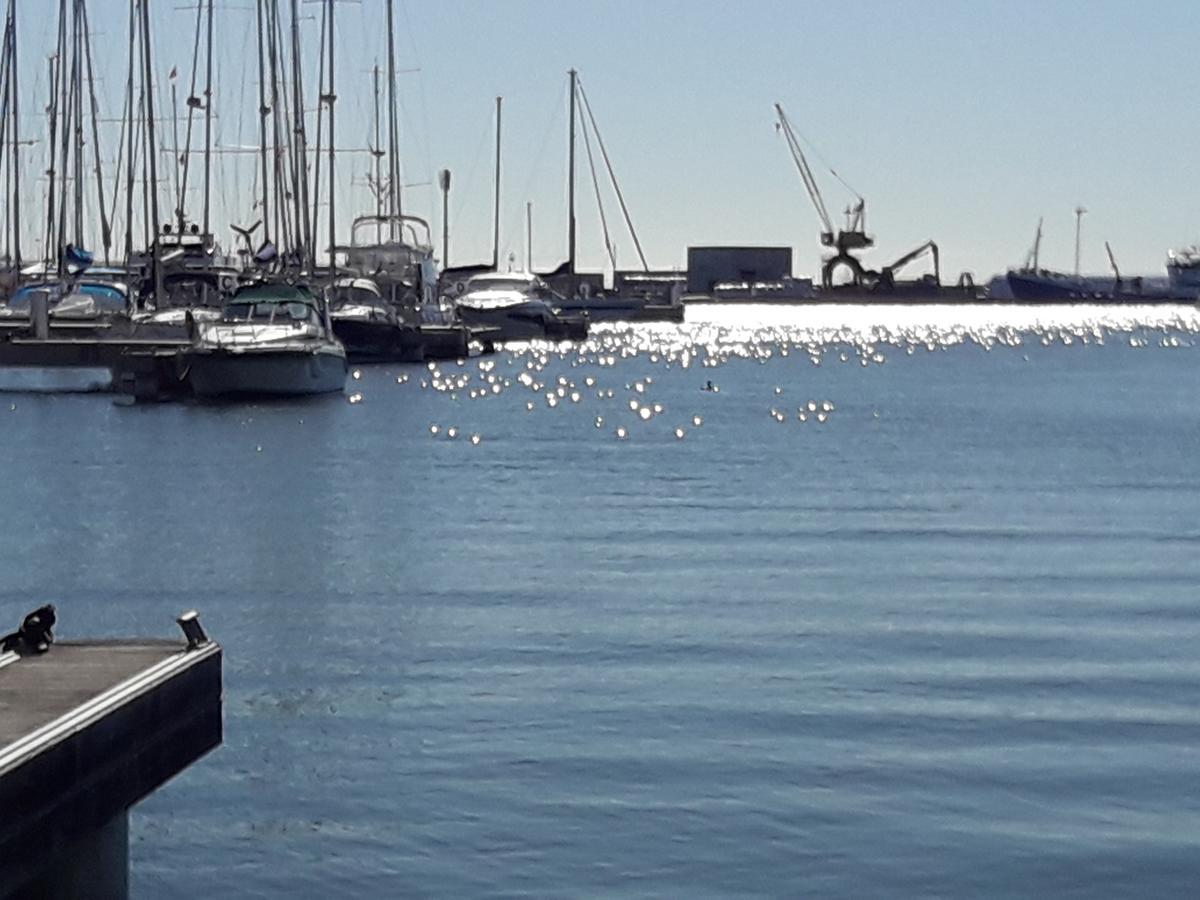 Apartamento Salamanca 20 Santa Pola Eksteriør billede